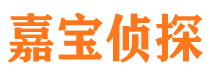 平川市私家侦探